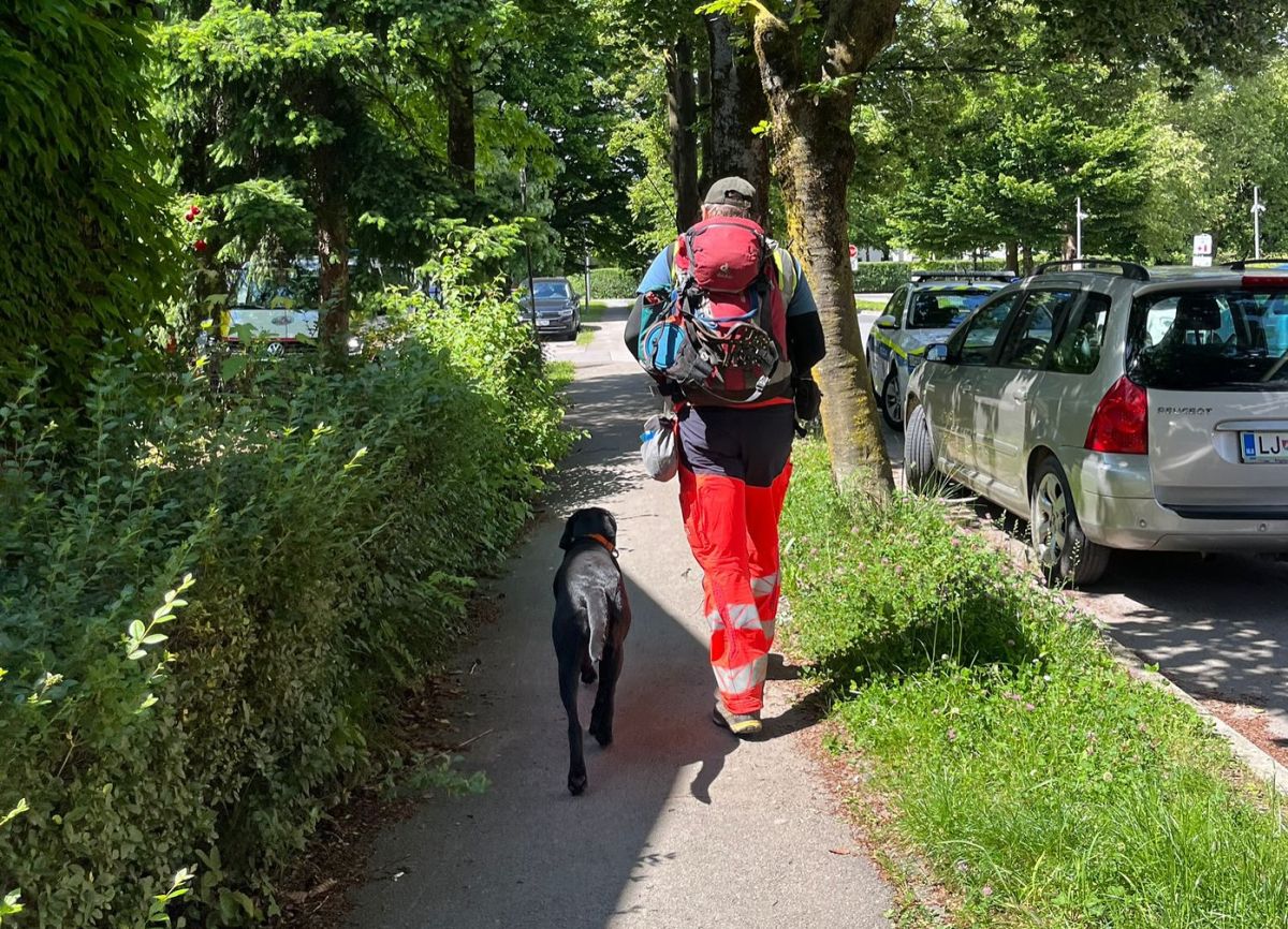 Foto: V Ljubljani srečen razplet iskalne akcije, na pomoč tudi psi Foto: V Ljubljani srečen razplet iskalne akcije, na pomoč tudi psi