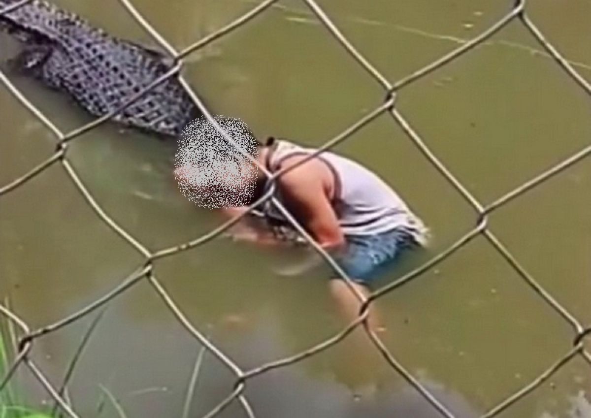 Video: Trenutek, ko turista, ki je želel posneti selfi, napade krokodil Video: Trenutek, ko turista, ki je želel posneti selfi, napade krokodil