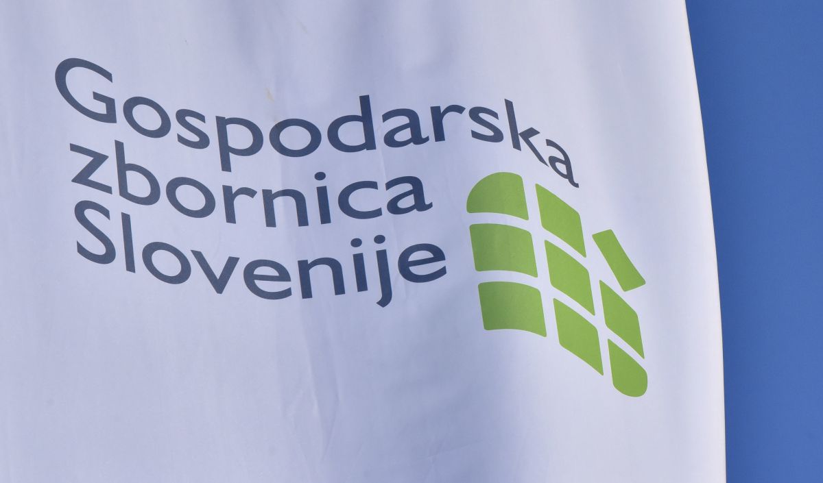 Zaposlovanje tujcev: Gospodarska zbornica opozarja na novo obremenitev delodajalcev Zaposlovanje tujcev: Gospodarska zbornica opozarja na novo obremenitev delodajalcev